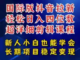 国际版抖音拉新，剪映，醒图，豆包等多玩法教程，长期可做的项目，轻松日入四位数，深度揭秘玩法，干就完了