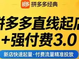 拼多多直线起店+强付费3.0,教你稳定起店、高效控投产、破解流量瓶颈(更新4月)