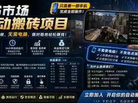 手机即可操作的CS市场自动搬砖系统|自动监控|自动下单|日入300+【揭秘】