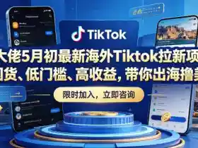 某大佬5月初最新海外Tiktok拉新项目,不囤货、低门槛、高收益,带你出海撸美刀