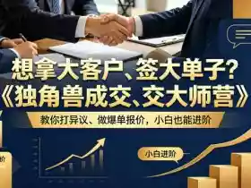 想拿大客户、签大单子?《独角兽成交大师营》教你扛异议、做爆单报价,小白也能进阶【原创双语字幕】