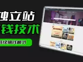 干货来袭！麦子甜带你吃透独立站｜从搭建到引流一站式教学《独立站》第一期