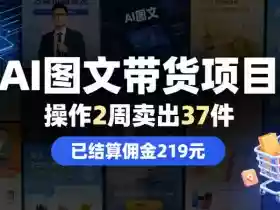 AI图文带货项目，操作2周卖出37件，已结算佣金219