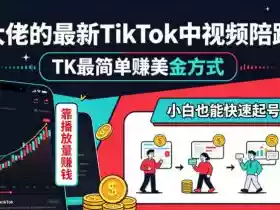 某大佬的最新TikTok中视频陪跑课，TK最简单賺美金方式，靠播放量賺钱，小白也能快速起号变现