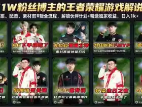 抖音11W粉丝博主的王者荣耀游戏解说教程,文案、配音、素材剪辑全流程,解锁伙伴计划+精选独家收益,日入1k+