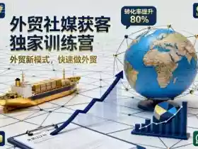 外贸社媒获客独家训练营，外贸新模式，快速做外贸（更新26年5月）