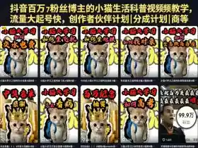 抖音百万粉丝博主的小猫生活科普视频教学,流量大起号快,创作者伙伴计划|分成计划|商单|收徒等