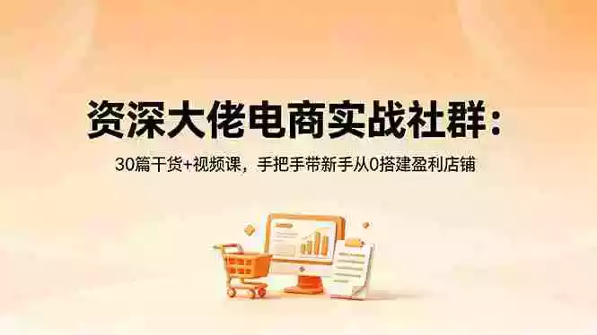 资深大佬电商实战社群:30篇干货+视频课,手把手带新手从0搭建盈利店铺