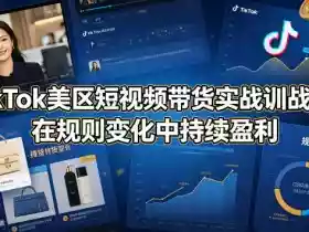 TikTok美区短视频带货实战训战营:在规则变化中持续盈利