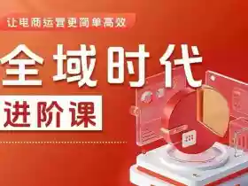 全域时代进阶课,更简单高效的全域投放实操,让电商运营更简单高效(更新)