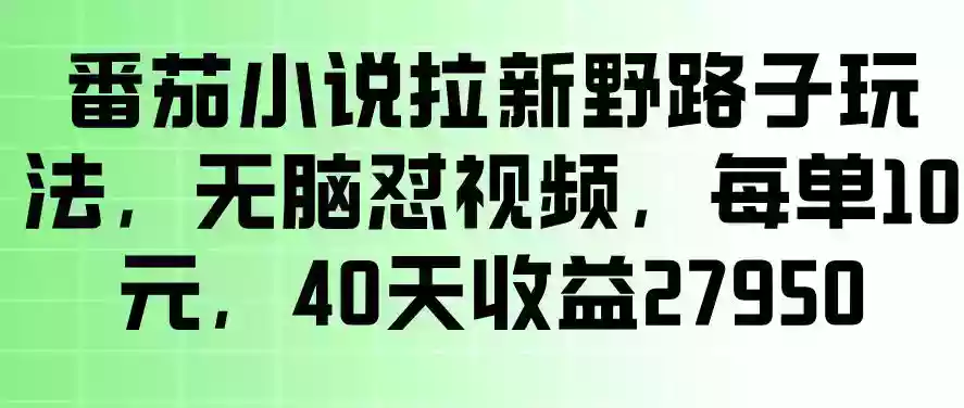 番茄小说拉新野路子玩法,无脑怼视频,玩法简单、见效快,每单10米,40天收益27950