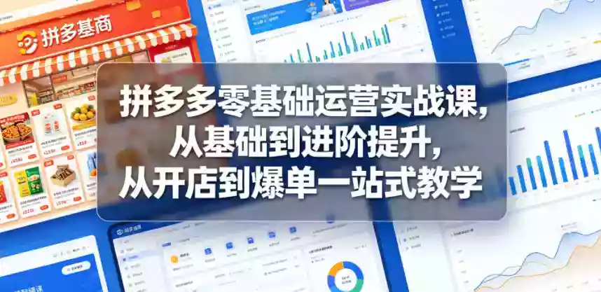 拼多多零基础运营实战课,从基础到进阶提升,从开店到爆单一站式教学