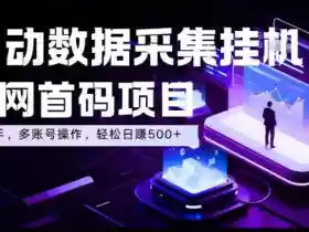 全自动数据采集挂G,全网首码项目,简单易操作,小白也能轻松上手,多账号操作,轻松日入500+【揭秘】