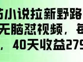 番茄小说拉新野路子玩法,无脑怼视频,玩法简单、见效快,每单10米,40天收益27950