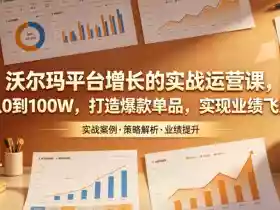 沃尔玛平台增长的实战运营课，从0到100W，打造爆款单品，实现业绩飞跃