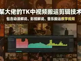 某大佬的TK中视频搬运剪辑技术,包含动漫解说、影视解说、音乐搬运教学视频