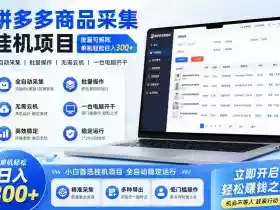 拼多多商品信息采集挂G项目，批量可矩阵，单机轻松日入300+，长期稳定【揭秘】