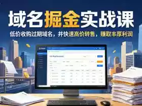 域名交易掘金实战课,低价收购过期域名,并快速高价转售,賺取丰厚利润【原创双语字幕】