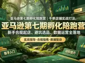 亚马逊第七期孵化陪跑营|千单店铺实战打法,新手合规起店、避坑选品、数据运营全落地
