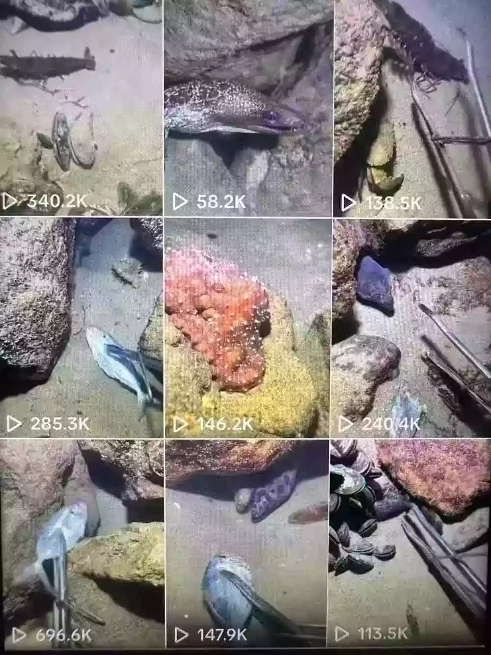 Tiktok中视频解说教程,体育+温情文案双赛道实操教程一站式带你落地 Tiktok中视频解说教程,体育+温情文案双赛道实操教程一站式带你落地