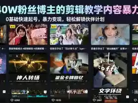 抖音40W粉丝博主的剪辑教学内容暴力玩法，0基础快速起号，暴力变现，轻松解锁伙伴计划+精选独家