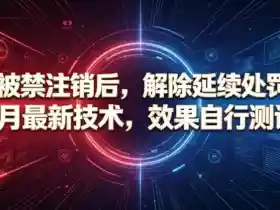 抖音被禁注销后,解除延续处罚技术,6月最新技术,效果自行测试