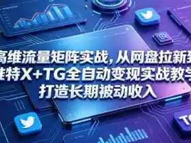 高维流量矩阵实战,从网盘拉新到推特X+TG全自动变现实战教学,打造长期被动收入
