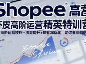 Shopee虾皮高阶运营精英特训营，高阶运营技巧+流量提升+转化率优化，助你业绩翻倍（更新26年7月）