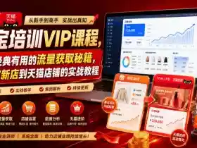 淘宝培训VIP课程,各种经典有用的流量获取秘籍,从淘宝新店到天猫店铺的实战教程(更新7月)