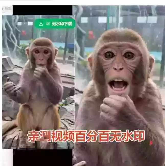 豆包无水印下载终于来了!支持豆包图片/视频,目前唯一免费使用的插件,浏览器拓展 豆包无水印下载终于来了!支持豆包图片/视频,目前唯一免费使用的插件,浏览器拓展
