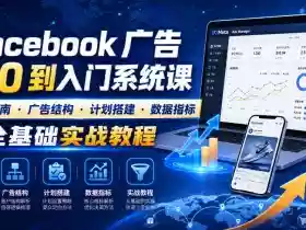 Facebook广告新手从0到入门系统课|开户指南・广告结构・计划搭建・数据指标全基础实战教程