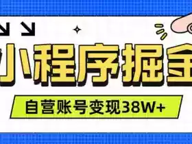 微信小程序掘金，团队自营小程序累计变现38W+，稳定运营三年，一部手机即可操作【揭秘】