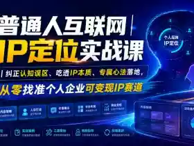 普通人互联网IP定位实战课|纠正认知误区、吃透IP本质、专属心法落地,从零找准个人企业可变现IP赛道