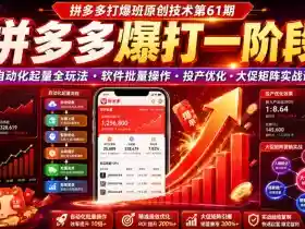 拼多多打爆班原创技术第61期,拼多多爆打一阶段,自动化起量全玩法・软件批量操作・投产优化・大促矩阵实战课