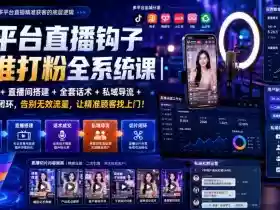 多平台直播钩子精准打粉全系统课|标签打法+直播间搭建+全套话术+私域导流+直播切片闭环,告别无效流量,让精准顾客找上门!
