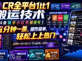 最新CR全平台1比1搬运技术(抖音快手小红书视频号)五分钟分钟一条,操作简单,轻松上热门(教程+软件+参数)