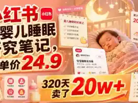 小红书卖婴儿睡眠研究笔记,客单价24.9,320天卖了20w+