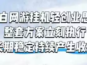 小白网游挂G轻创业思路,整套闭环操作方案直接执行,不用久坐屏幕前持续产生收益,每天单机1k+【揭秘】