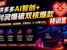 2026拼多多AI智创+利润爆破双核爆款特训营,收获底层逻辑、活动矩阵、付费优化、0-1打爆SOP(更新0727)