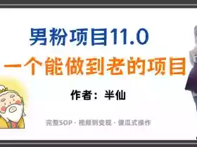 全网独家男粉项目11.0,一个做到老的项目,完整SOP·视频到变现·傻瓜式操作