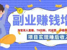 2026年多个真实落地副业项目,手把手带你搭建被动收入管道(淘宝无人直播、海外TK拉新、CSGO饰品交易、去水印小程序等)【揭秘】