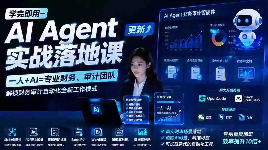 学完即用—AI Agent实战落地课-更新：一人+AI=专业财务、审计团队，解锁财务审计自动化全新工作模式