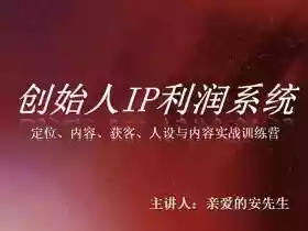 创始人IP利润系统8月训练营,定位、内容、获客、人设与内容实战训练营