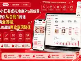 8月AI小红书虚拟电商Pro训练营,手把手带你从0到1跑通虚拟电商全流程,给普通人的最短商业变现路径(更新0824)