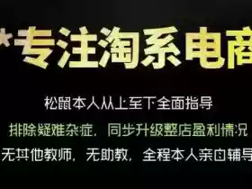 松鼠会电商VIP课程,从基础布局到高阶优化,助你掌握淘宝运营逻辑,提升店铺流量与转化(更新0823)
