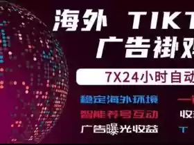 海外TikTok挂G流量变现,7X24自动运行,广告曝光收益,收益日结【揭秘】