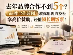 去年品牌合作不到5个?《品牌合作蓝图》教你用现成模板拿高价赞助,还能锁长期饭票!【原创双语字幕】
