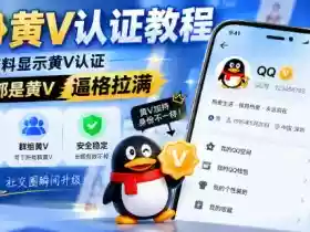 QQ黄V认证教程,个人主资料显示黄V认证,号下所有群都是黄V,逼格拉满