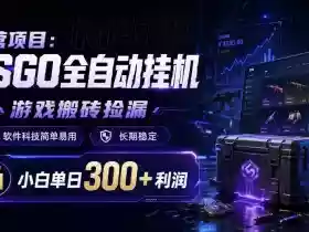 自营项目:CSGO全自动挂G,游戏搬砖捡漏,软件科技简单易用,长期稳定,小白单日300+利润【揭秘】