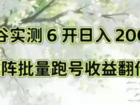 一台电脑就能做!灵谷实测6开日入200+,矩阵批量跑号收益翻倍【揭秘】